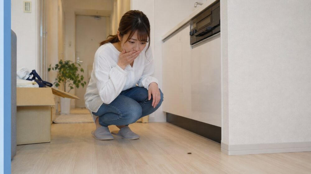 入居初日のゴキブリは誰の責任か